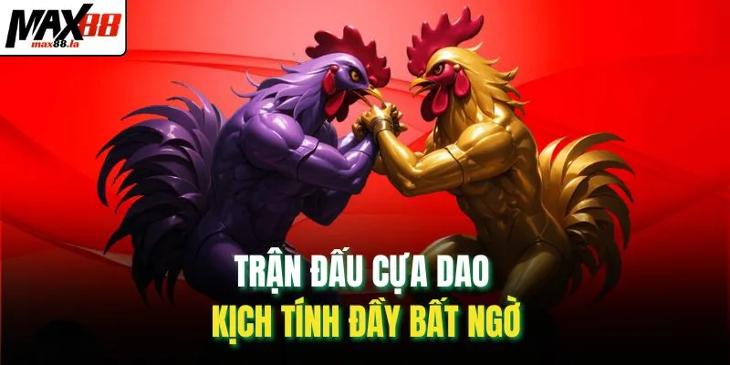 Trận đấu cựa dao kịch tính đầy bất ngờ